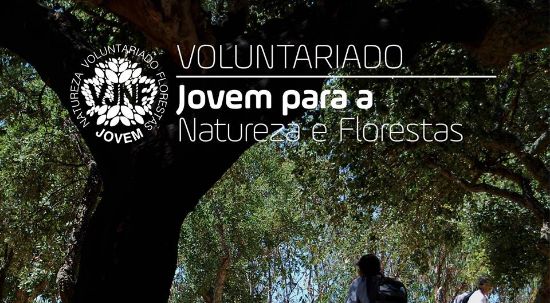 Voluntariado Jovem para a Natureza e Florestas - Candidaturas