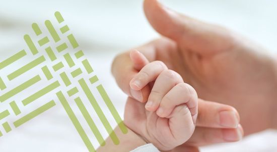 Programa de apoio à natalidade e economia já atingiu 156 mil euros de apoios às famílias 