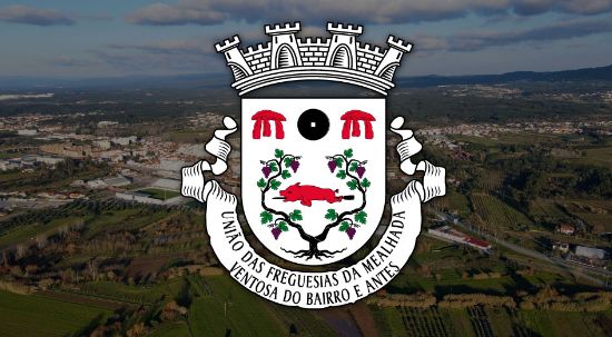 Assembleia Municipal da Mealhada aprova desagregação de freguesias em "sessão histórica"