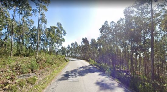 Câmara lança a concurso antiga estrada nacional 235 que liga o Luso ao IP3 e Penacova