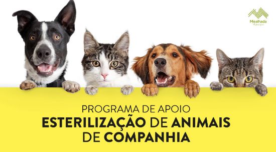Câmara da Mealhada aprova Programa de Apoio à Esterilização de Animais de Companhia