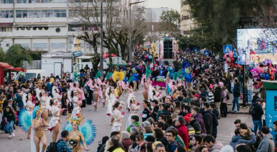 Câmara da Mealhada aprova protocolos de financiamento para carnaval 